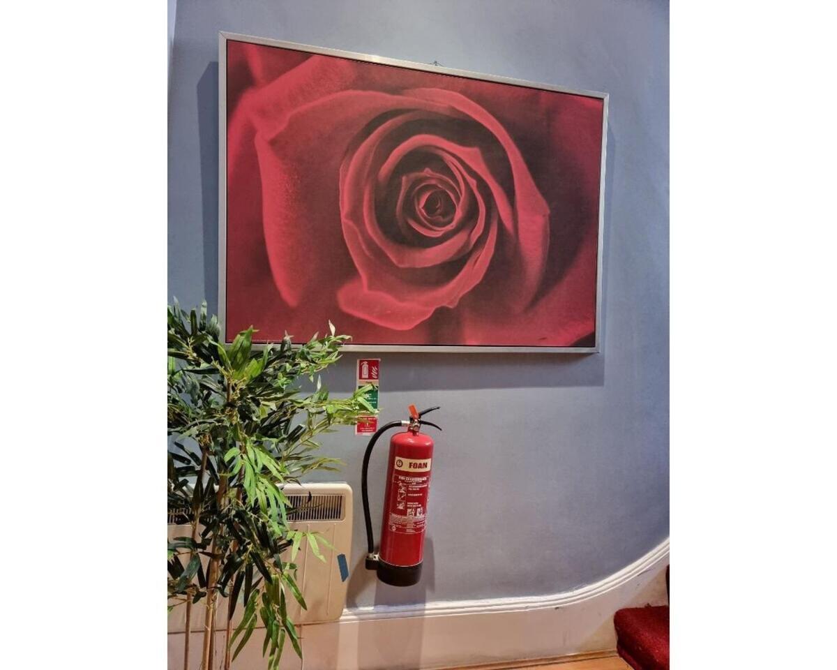 Fb4-Spacious Basement Studio Near Hyde Park Londra Dış mekan fotoğraf